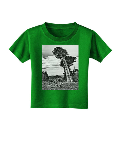 Colorado Landscape Monochrome Toddler T-Shirt Dark-Toddler T-Shirt-TooLoud-Clover-Green-2T-Davson Sales