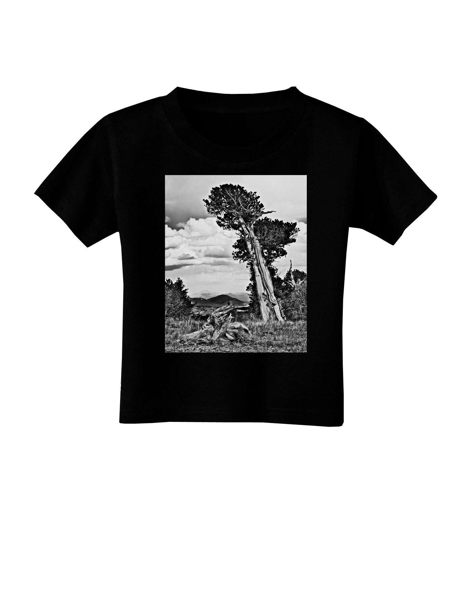 Colorado Landscape Monochrome Toddler T-Shirt Dark-Toddler T-Shirt-TooLoud-Black-2T-Davson Sales