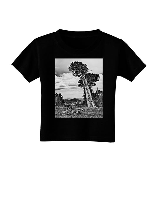 Colorado Landscape Monochrome Toddler T-Shirt Dark-Toddler T-Shirt-TooLoud-Black-2T-Davson Sales