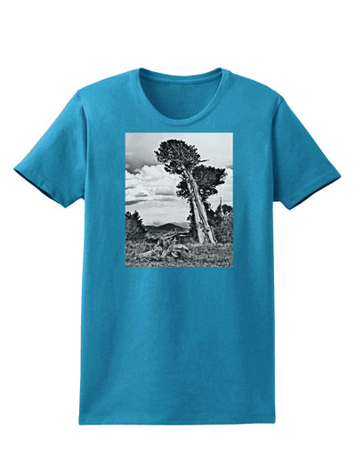 Colorado Landscape Monochrome Womens Dark T-Shirt-TooLoud-Turquoise-X-Small-Davson Sales