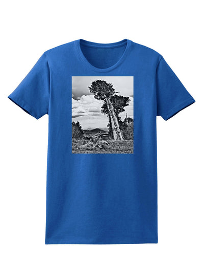 Colorado Landscape Monochrome Womens Dark T-Shirt-TooLoud-Royal-Blue-X-Small-Davson Sales