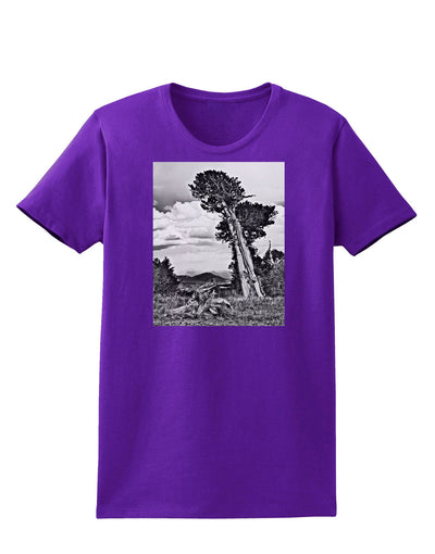 Colorado Landscape Monochrome Womens Dark T-Shirt-TooLoud-Purple-X-Small-Davson Sales