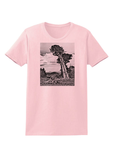 Colorado Landscape Monochrome Womens T-Shirt-Womens T-Shirt-TooLoud-PalePink-X-Small-Davson Sales