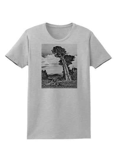 Colorado Landscape Monochrome Womens T-Shirt-Womens T-Shirt-TooLoud-AshGray-X-Small-Davson Sales