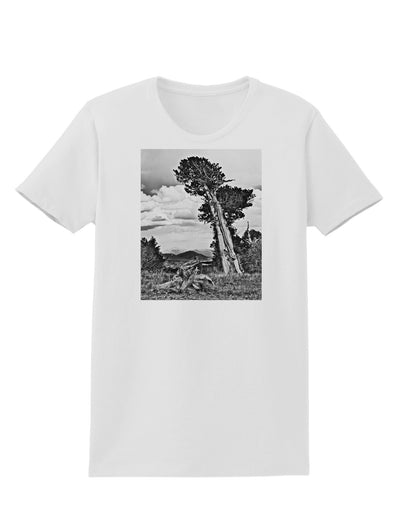 Colorado Landscape Monochrome Womens T-Shirt-Womens T-Shirt-TooLoud-White-X-Small-Davson Sales