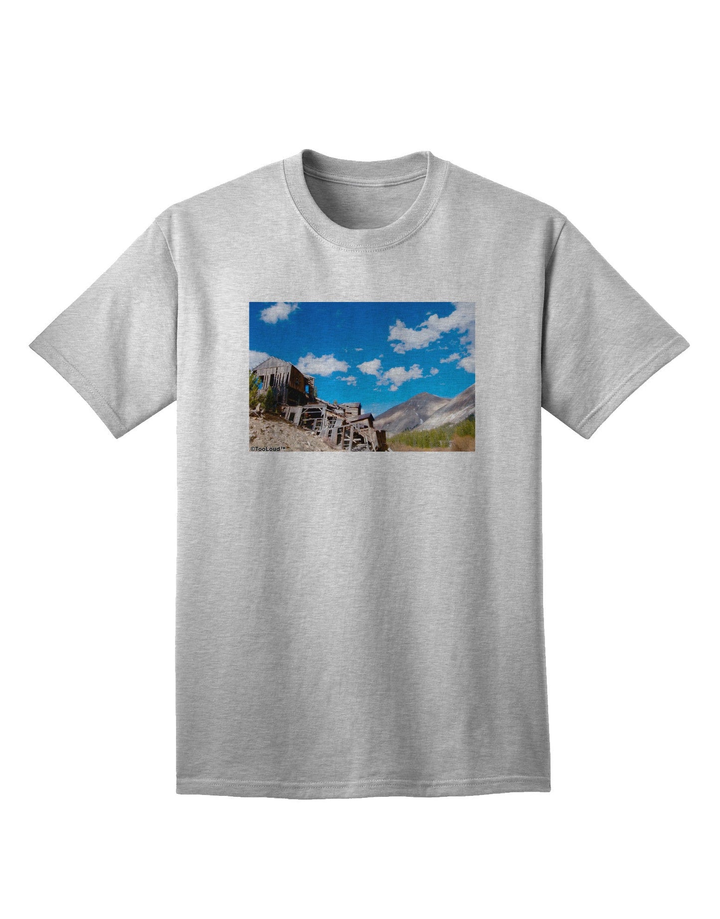 Colorado Landscape Ruins Adult T-Shirt-Mens T-Shirt-TooLoud-AshGray-Small-Davson Sales
