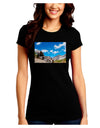 Colorado Landscape Ruins Juniors Crew Dark T-Shirt-T-Shirts Juniors Tops-TooLoud-Black-Juniors Fitted Small-Davson Sales