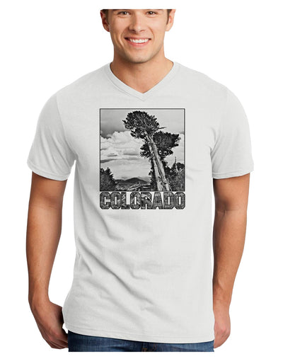 Colorado Landscape Text BW Adult V-Neck T-shirt-Mens V-Neck T-Shirt-TooLoud-White-Small-Davson Sales