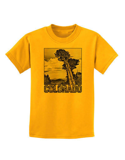 Colorado Landscape Text BW Childrens T-Shirt-Childrens T-Shirt-TooLoud-Gold-X-Small-Davson Sales