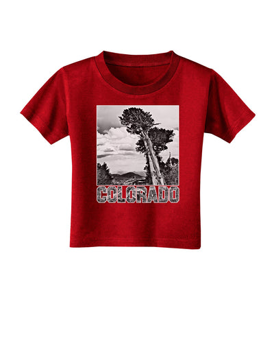 Colorado Landscape Text BW Toddler T-Shirt Dark-Toddler T-Shirt-TooLoud-Red-2T-Davson Sales