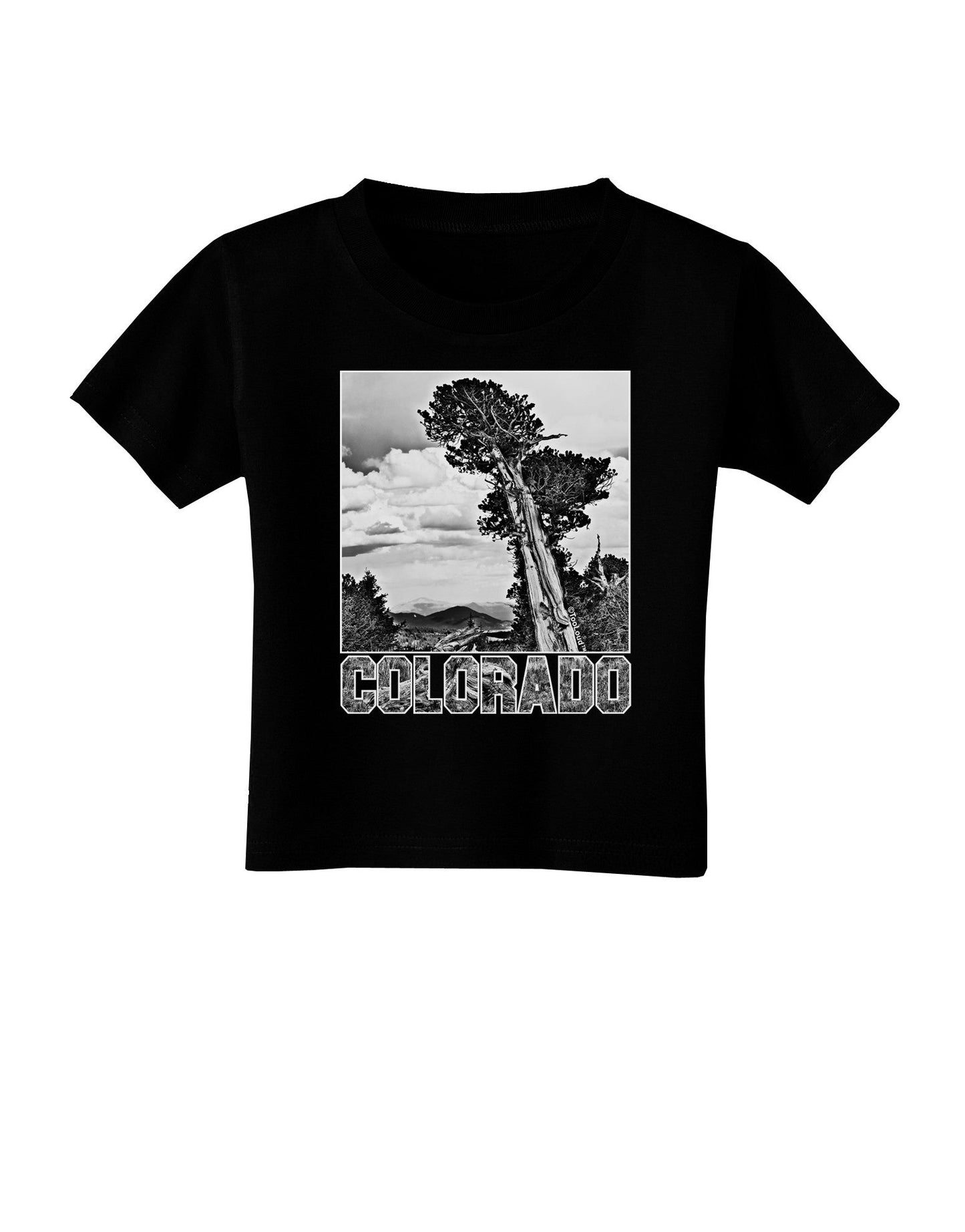 Colorado Landscape Text BW Toddler T-Shirt Dark-Toddler T-Shirt-TooLoud-Black-2T-Davson Sales