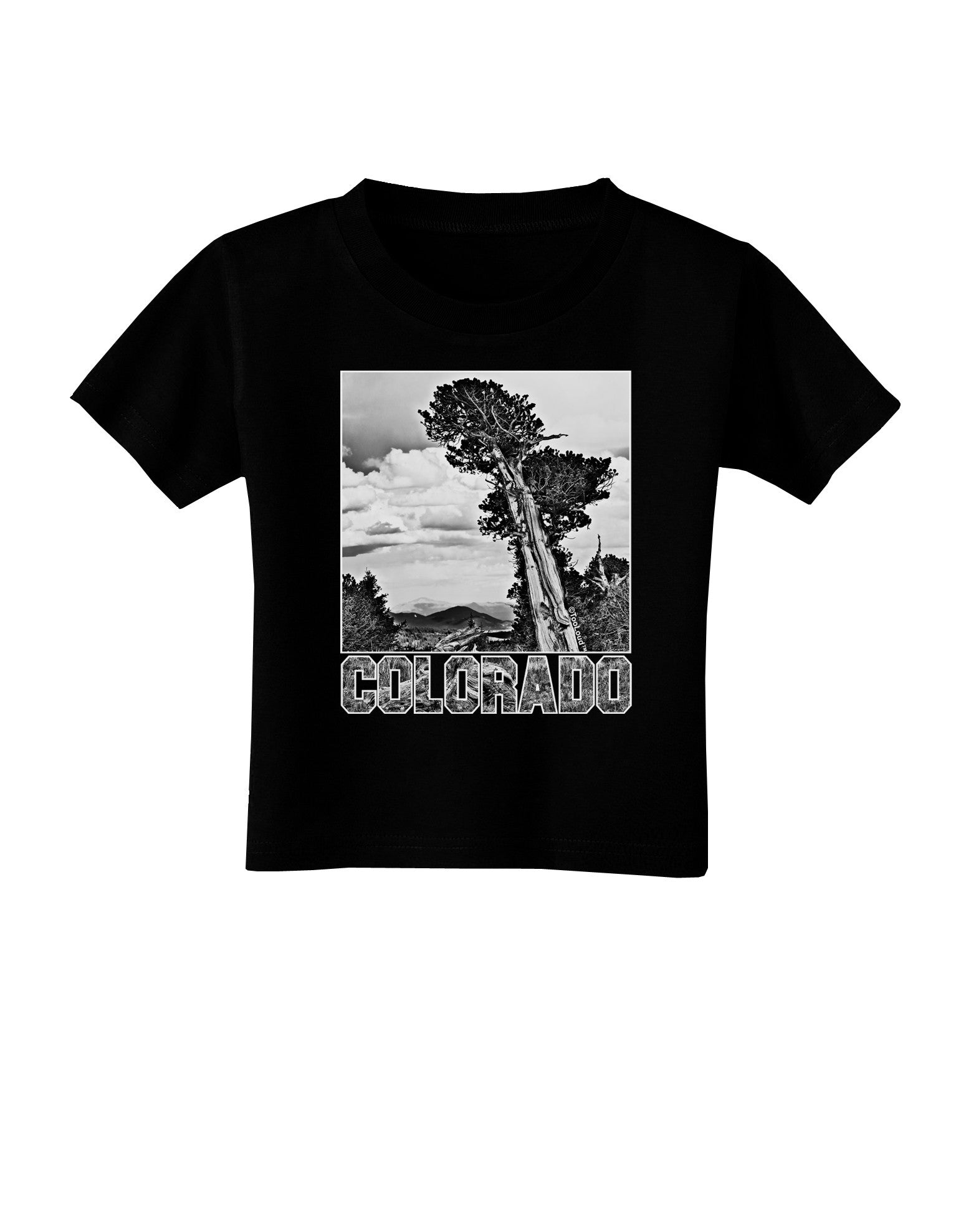 Colorado Landscape Text BW Toddler T-Shirt Dark-Toddler T-Shirt-TooLoud-Black-2T-Davson Sales
