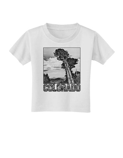 Colorado Landscape Text BW Toddler T-Shirt-Toddler T-Shirt-TooLoud-White-2T-Davson Sales