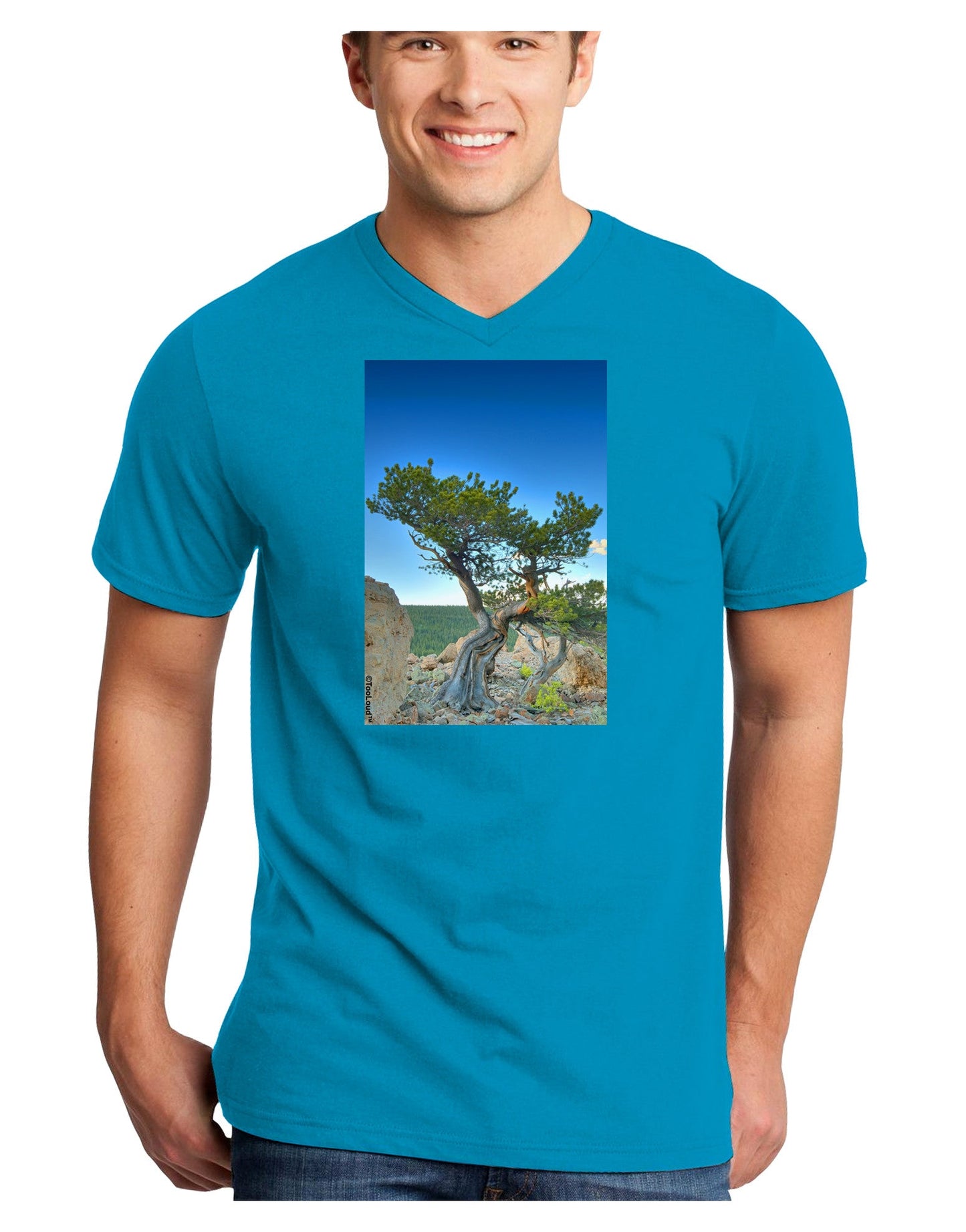Colorado Landscape Tree Adult Dark V-Neck T-Shirt-TooLoud-Turquoise-Small-Davson Sales