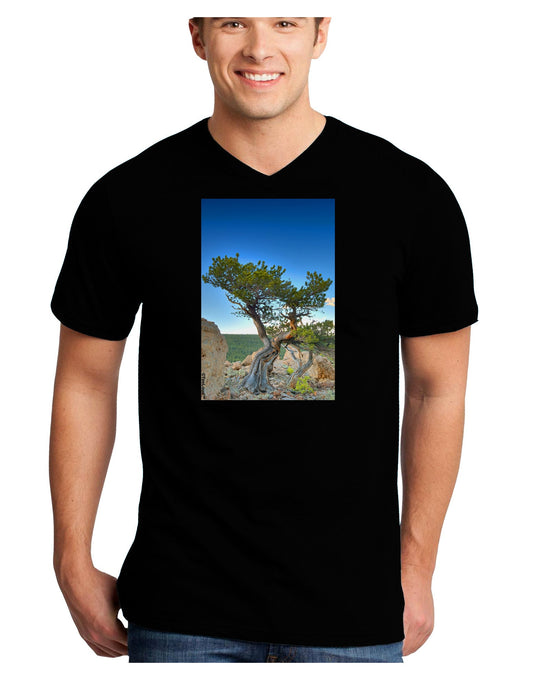 Colorado Landscape Tree Adult Dark V-Neck T-Shirt-TooLoud-Black-Small-Davson Sales