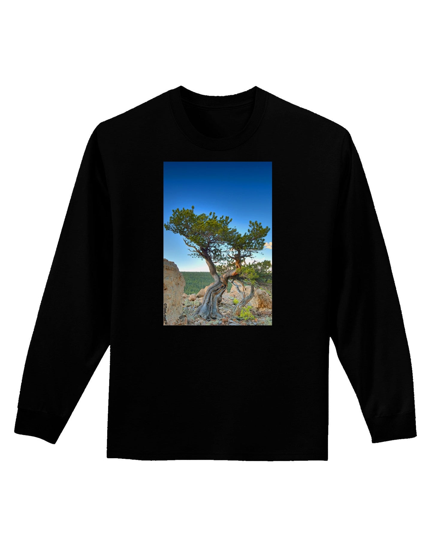 Colorado Landscape Tree Adult Long Sleeve Dark T-Shirt-TooLoud-Black-Small-Davson Sales