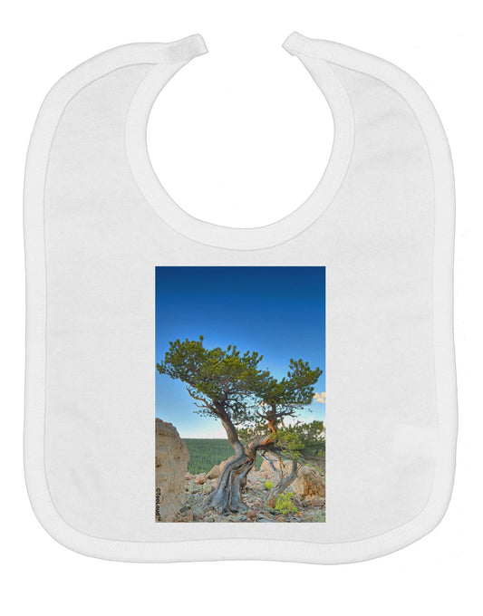 Colorado Landscape Tree Baby Bib