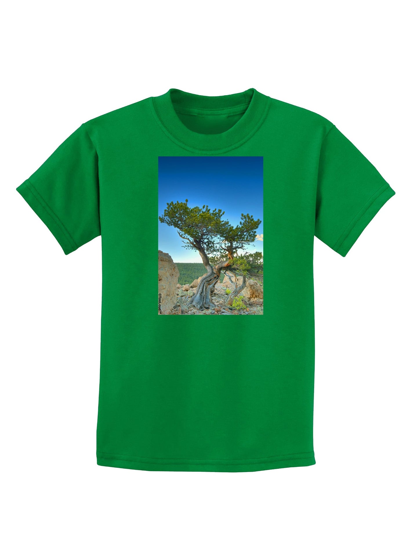 Colorado Landscape Tree Childrens Dark T-Shirt-Childrens T-Shirt-TooLoud-Kelly-Green-X-Small-Davson Sales