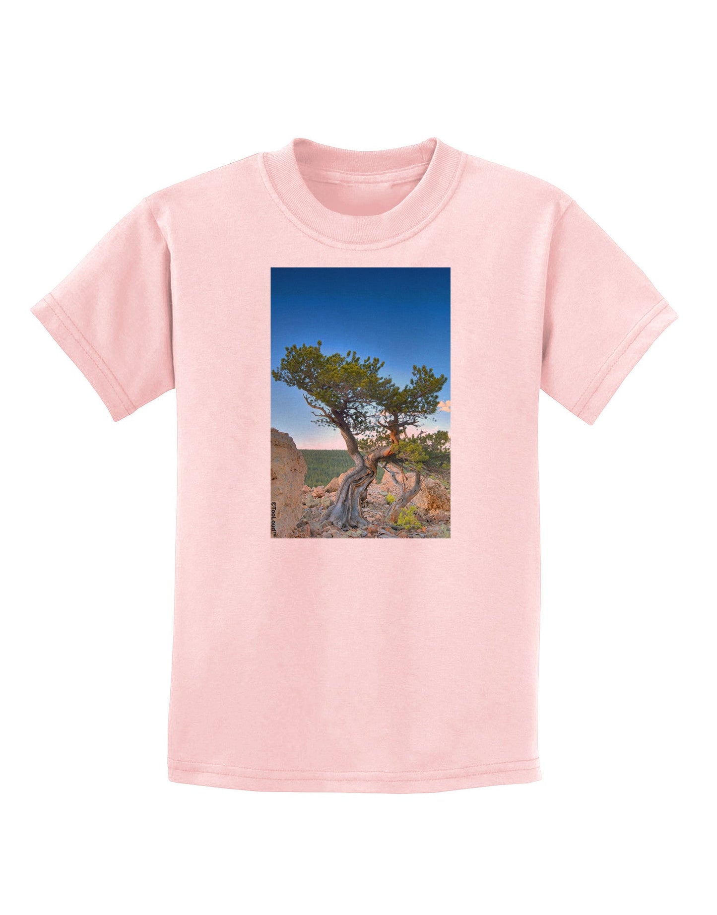 Colorado Landscape Tree Childrens T-Shirt-Childrens T-Shirt-TooLoud-PalePink-X-Small-Davson Sales