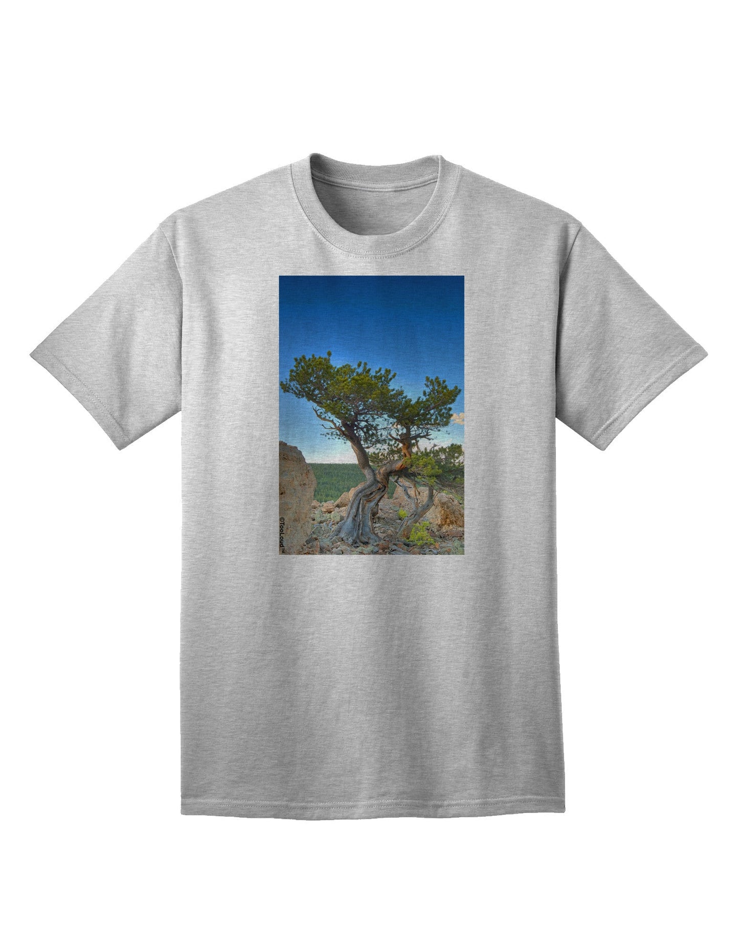 Colorado Landscape Tree - Premium Adult T-Shirt Collection-Mens T-shirts-TooLoud-AshGray-Small-Davson Sales