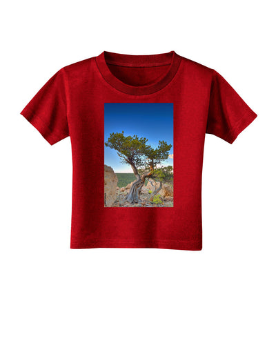 Colorado Landscape Tree Toddler T-Shirt Dark-Toddler T-Shirt-TooLoud-Red-2T-Davson Sales