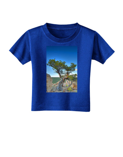 Colorado Landscape Tree Toddler T-Shirt Dark-Toddler T-Shirt-TooLoud-Royal-Blue-2T-Davson Sales