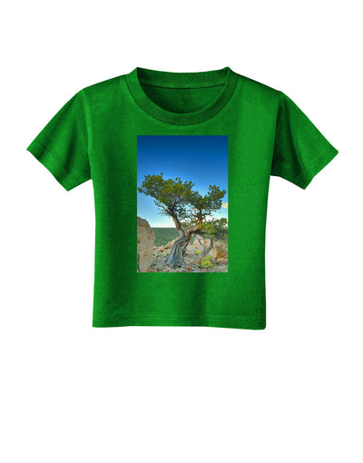 Colorado Landscape Tree Toddler T-Shirt Dark-Toddler T-Shirt-TooLoud-Clover-Green-2T-Davson Sales