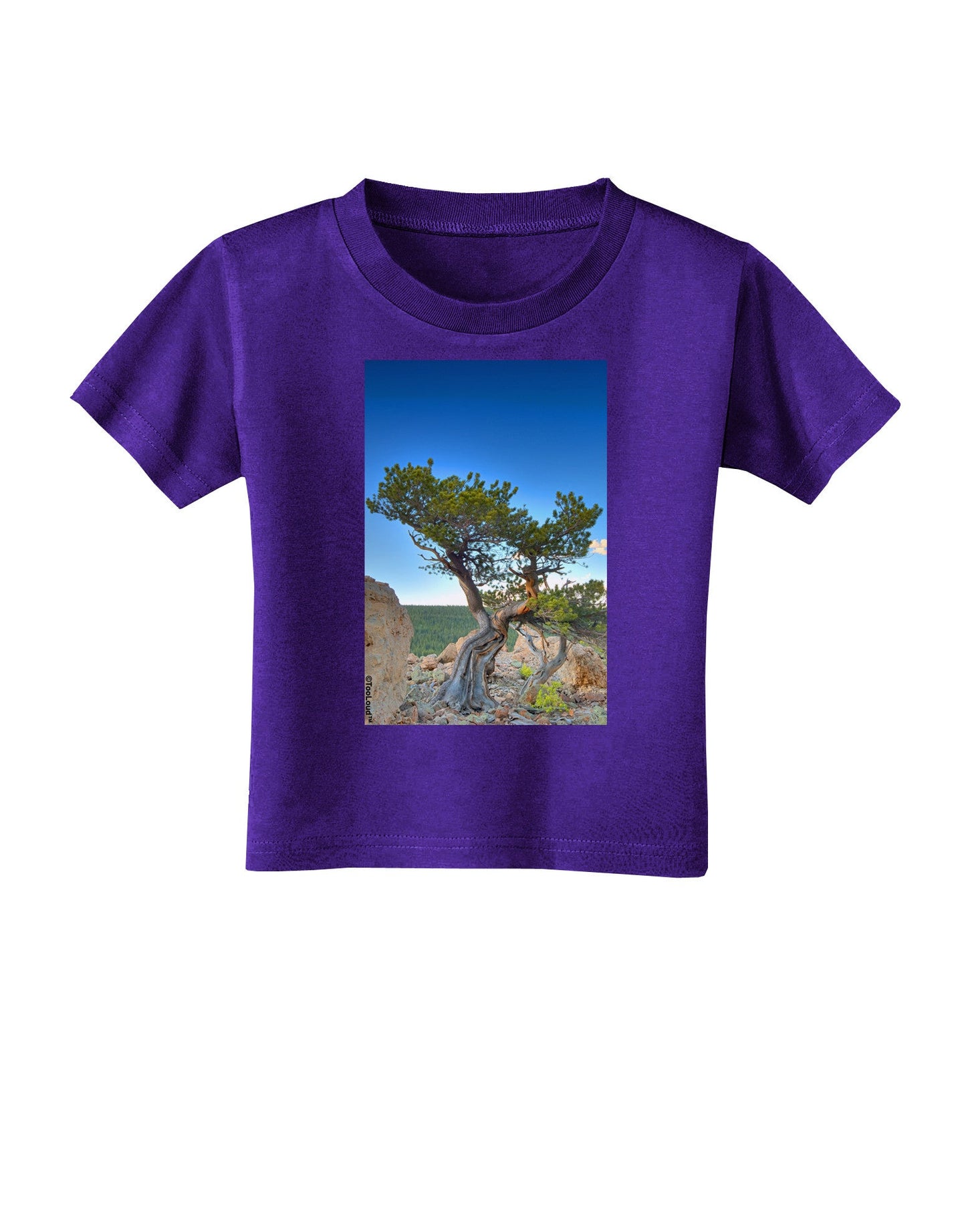 Colorado Landscape Tree Toddler T-Shirt Dark-Toddler T-Shirt-TooLoud-Purple-2T-Davson Sales