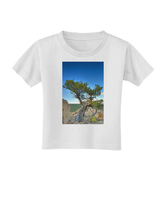 Colorado Landscape Tree Toddler T-Shirt-Toddler T-Shirt-TooLoud-White-2T-Davson Sales
