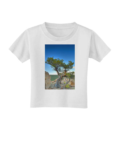 Colorado Landscape Tree Toddler T-Shirt-Toddler T-Shirt-TooLoud-White-2T-Davson Sales