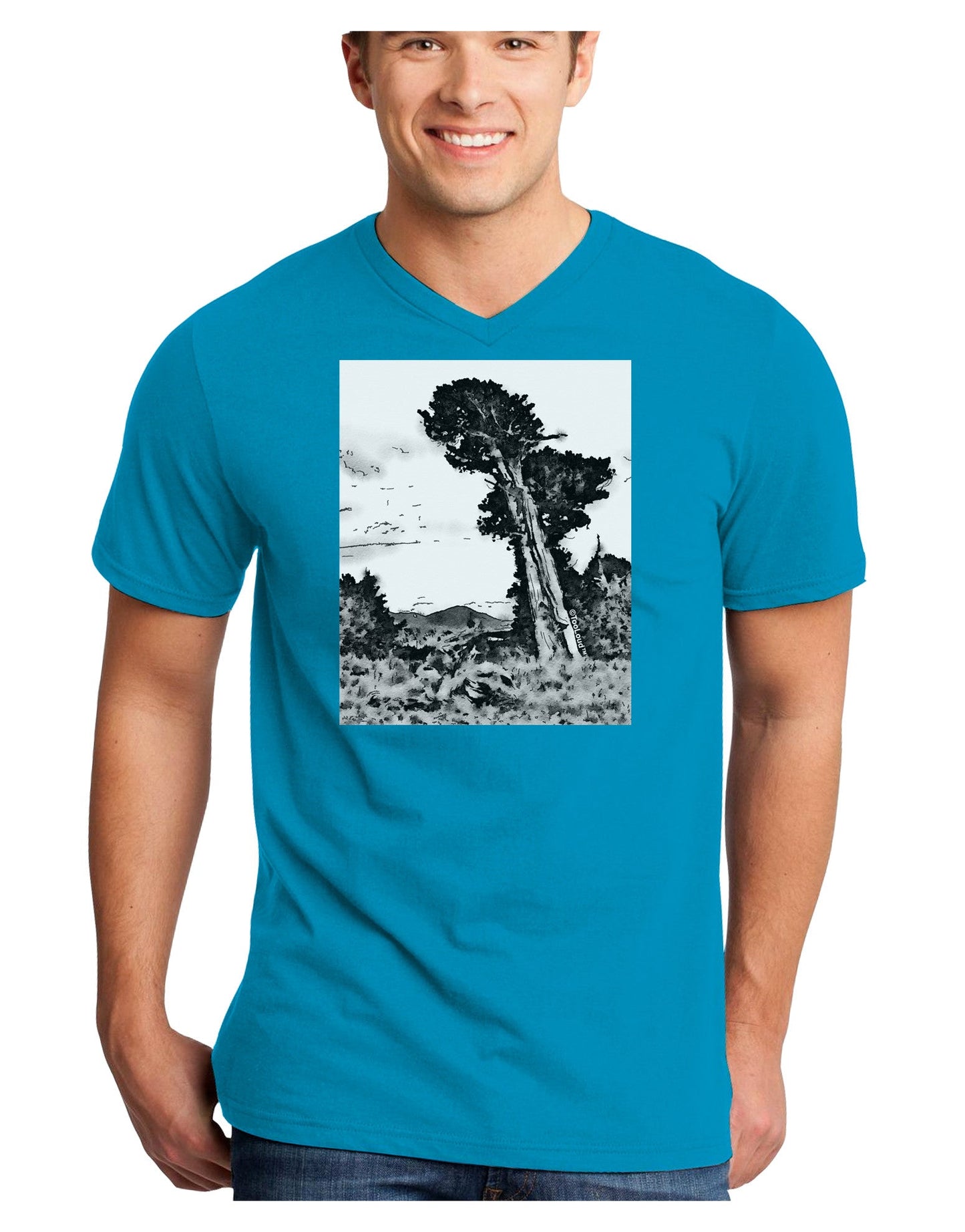 Colorado Landscape Watercolor BW Adult Dark V-Neck T-Shirt-TooLoud-Turquoise-Small-Davson Sales