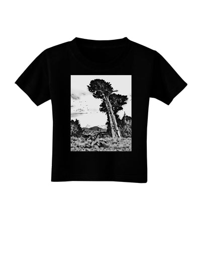 Colorado Landscape Watercolor BW Toddler T-Shirt Dark-Toddler T-Shirt-TooLoud-Black-2T-Davson Sales