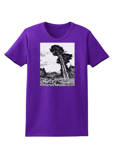 Colorado Landscape Watercolor BW Womens Dark T-Shirt-TooLoud-Purple-X-Small-Davson Sales