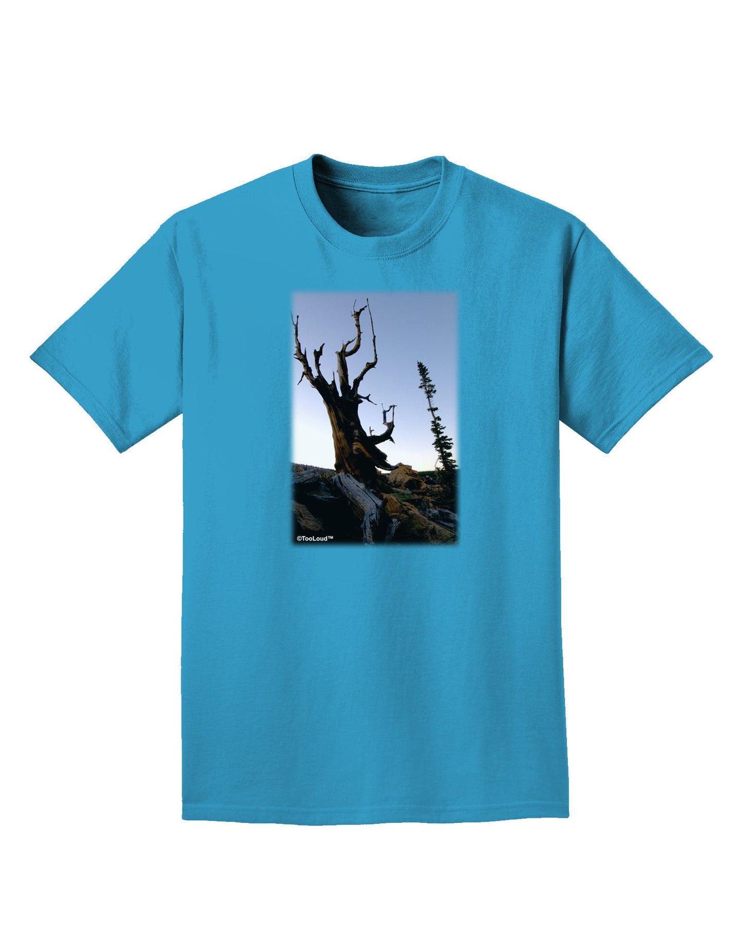 Colorado Mountain Scenery Adult Dark T-Shirt-Mens T-Shirt-TooLoud-Turquoise-Small-Davson Sales