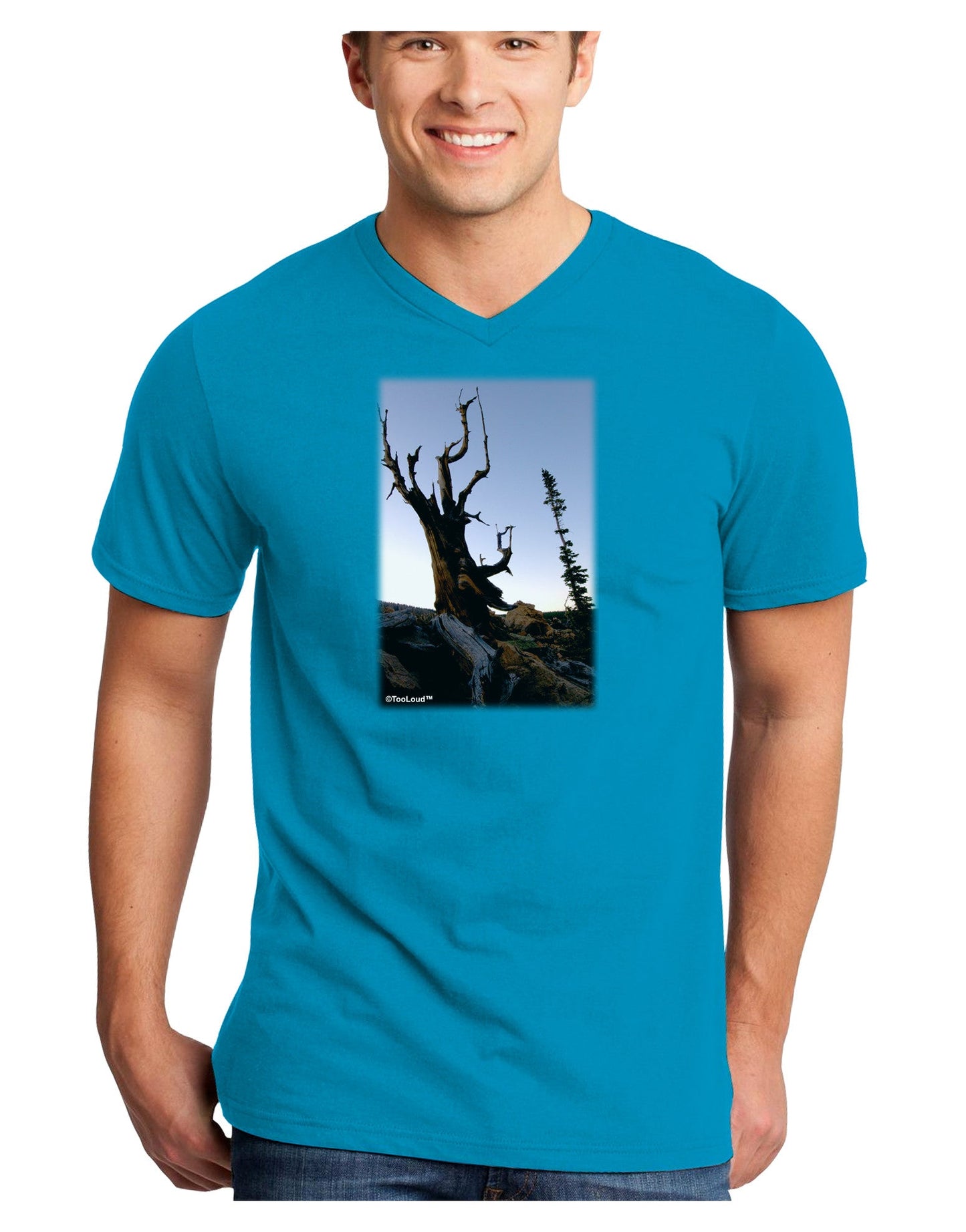 Colorado Mountain Scenery Adult Dark V-Neck T-Shirt-TooLoud-Turquoise-Small-Davson Sales