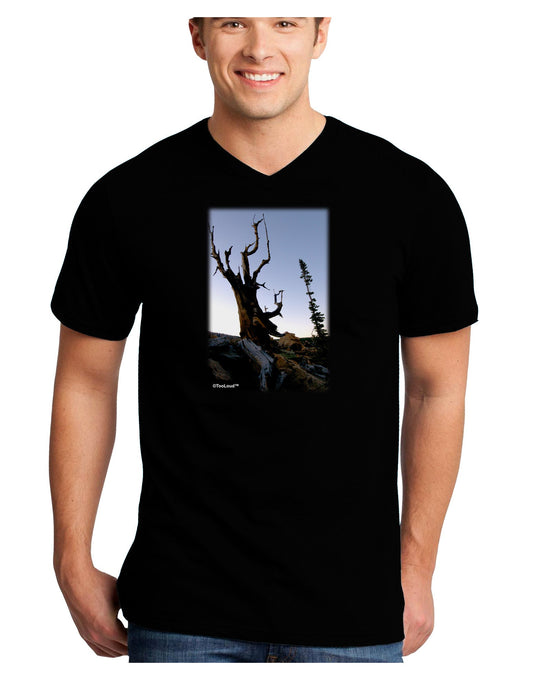 Colorado Mountain Scenery Adult Dark V-Neck T-Shirt-TooLoud-Black-Small-Davson Sales