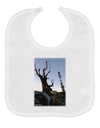 Colorado Mountain Scenery Baby Bib