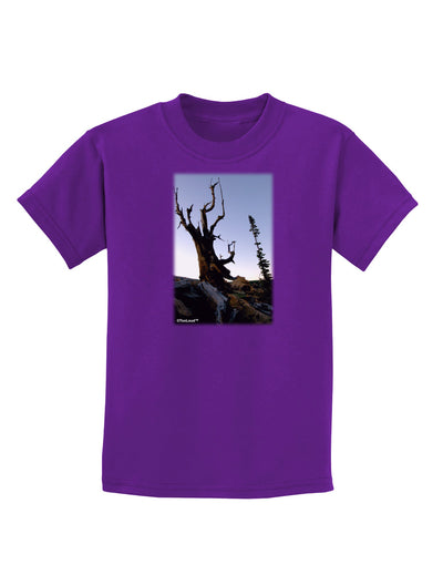 Colorado Mountain Scenery Childrens Dark T-Shirt-Childrens T-Shirt-TooLoud-Purple-X-Small-Davson Sales