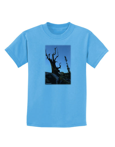 Colorado Mountain Scenery Childrens T-Shirt-Childrens T-Shirt-TooLoud-Aquatic-Blue-X-Small-Davson Sales