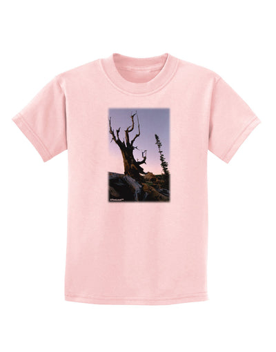 Colorado Mountain Scenery Childrens T-Shirt-Childrens T-Shirt-TooLoud-PalePink-X-Small-Davson Sales