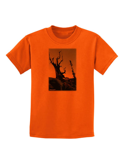 Colorado Mountain Scenery Childrens T-Shirt-Childrens T-Shirt-TooLoud-Orange-X-Small-Davson Sales