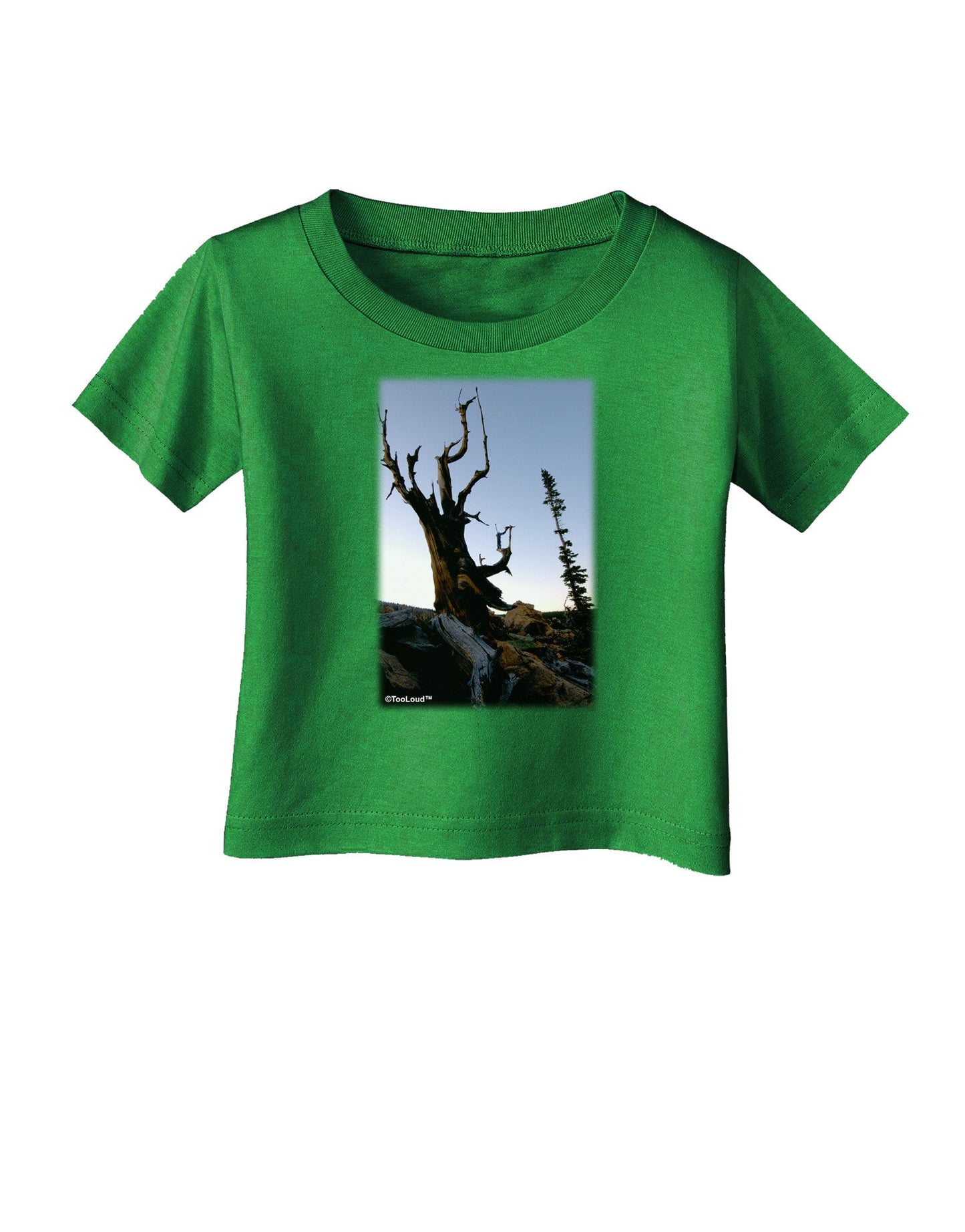 Colorado Mountain Scenery Infant T-Shirt Dark-Infant T-Shirt-TooLoud-Clover-Green-06-Months-Davson Sales