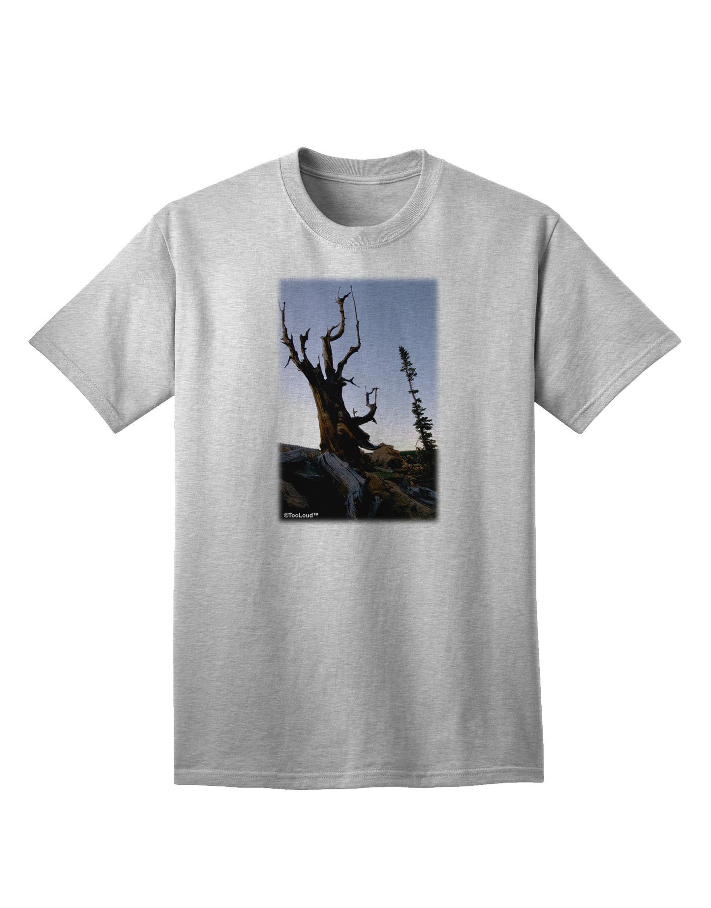 Colorado Mountain Scenery - Premium Adult T-Shirt for Outdoor Enthusiasts-Mens T-shirts-TooLoud-AshGray-Small-Davson Sales