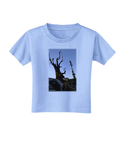 Colorado Mountain Scenery Toddler T-Shirt-Toddler T-Shirt-TooLoud-Aquatic-Blue-2T-Davson Sales