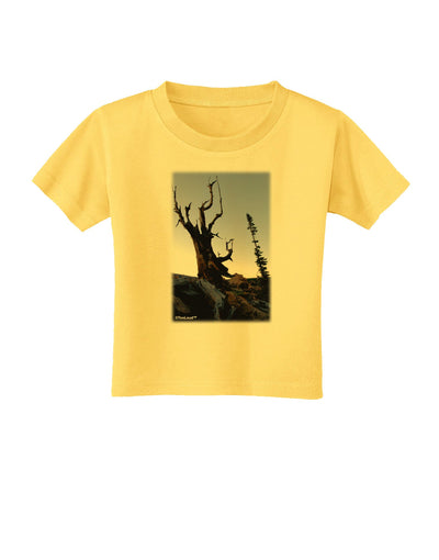 Colorado Mountain Scenery Toddler T-Shirt-Toddler T-Shirt-TooLoud-Yellow-2T-Davson Sales