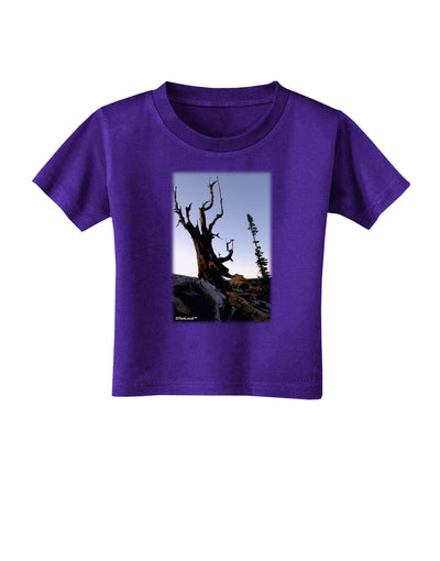 Colorado Mountain Scenery Toddler T-Shirt Dark-Toddler T-Shirt-TooLoud-Purple-2T-Davson Sales