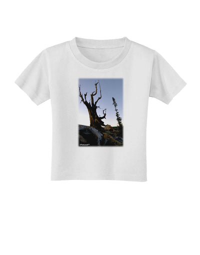 Colorado Mountain Scenery Toddler T-Shirt-Toddler T-Shirt-TooLoud-White-2T-Davson Sales