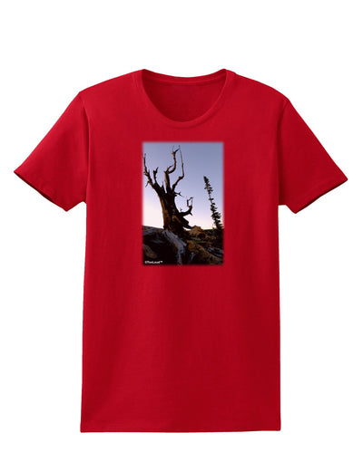 Colorado Mountain Scenery Womens Dark T-Shirt-TooLoud-Red-X-Small-Davson Sales