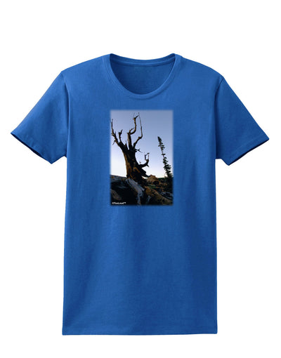 Colorado Mountain Scenery Womens Dark T-Shirt-TooLoud-Royal-Blue-X-Small-Davson Sales