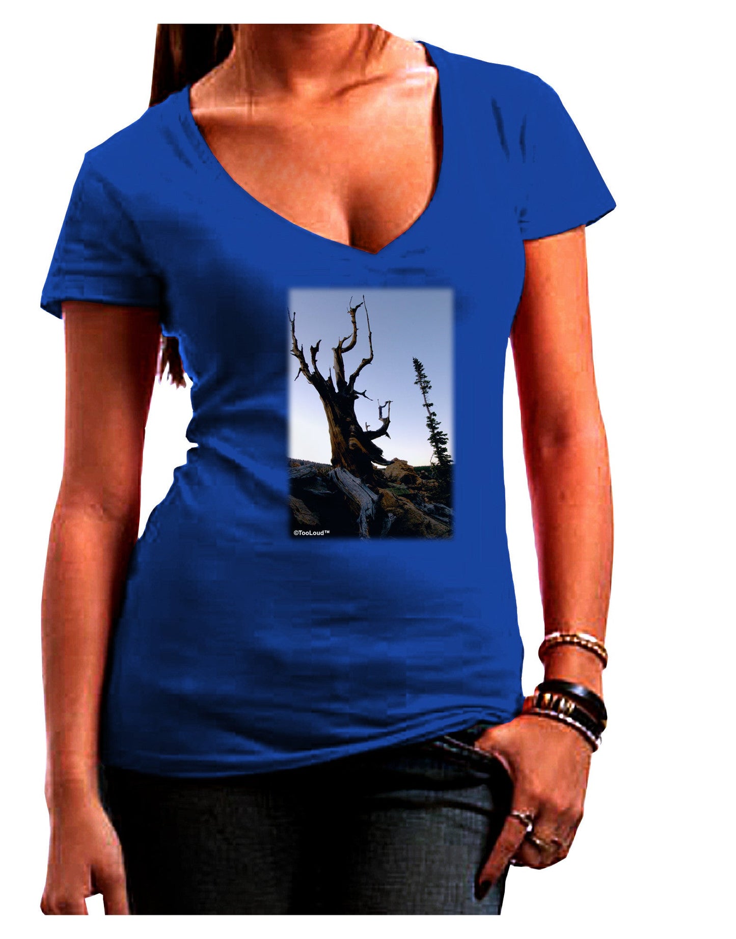 Colorado Mountain Scenery Womens V-Neck Dark T-Shirt-Womens V-Neck T-Shirts-TooLoud-Royal-Blue-Juniors Fitted Small-Davson Sales